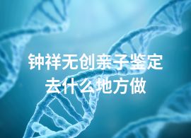 鐘祥無創(chuàng)親子鑒定去什么地方做