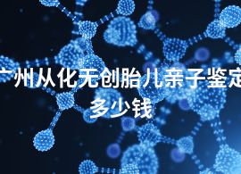 廣州從化無創(chuàng)胎兒親子鑒定多少錢