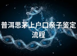 普洱思茅上戶(hù)口親子鑒定流程