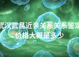 武漢武昌近親關系關系鑒定價格大概是多少