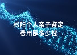松陽(yáng)個(gè)人親子鑒定費(fèi)用是多少錢(qián)