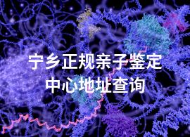 寧鄉(xiāng)正規(guī)親子鑒定中心地址查詢