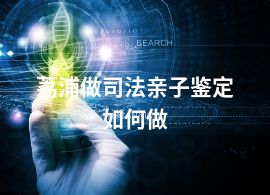 荔浦做司法親子鑒定如何做