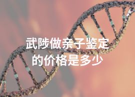 武陟做親子鑒定的價(jià)格是多少