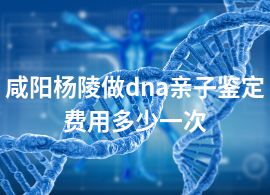 咸陽楊陵做dna親子鑒定費用多少一次