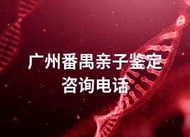 廣州番禺親子鑒定咨詢電話