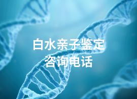 白水親子鑒定咨詢電話