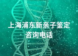 上海浦東新親子鑒定咨詢電話