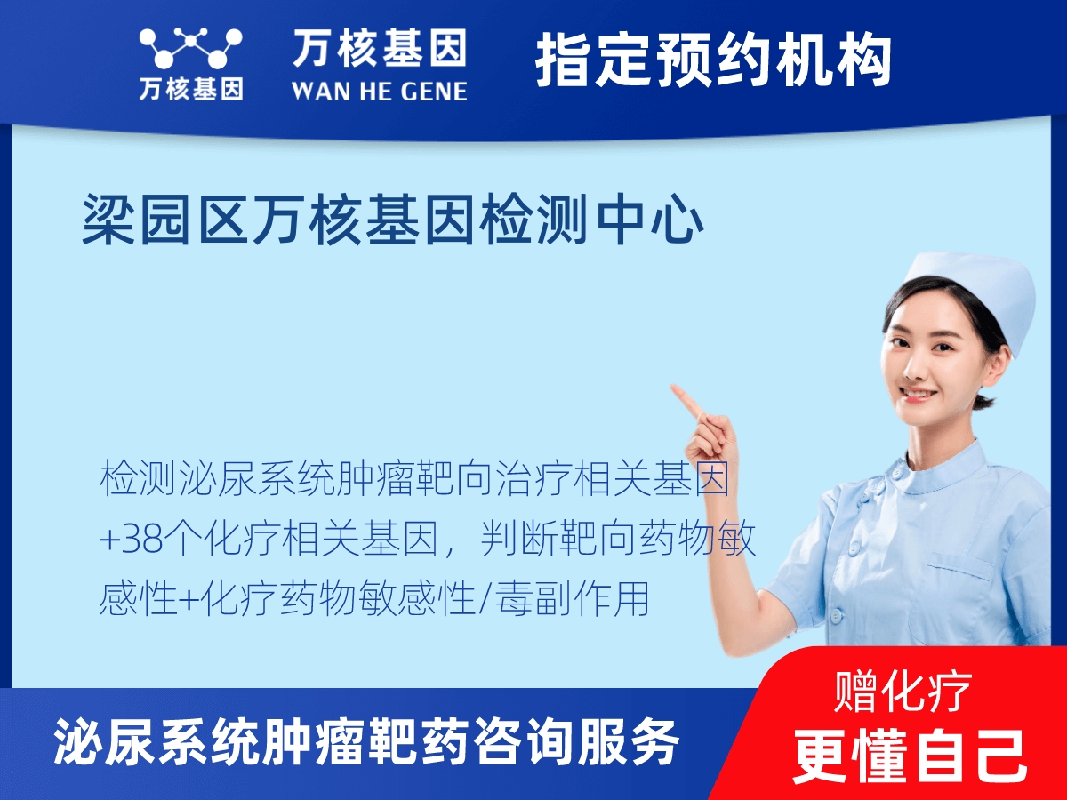 泌尿系統(tǒng)腫瘤靶藥60基因檢測