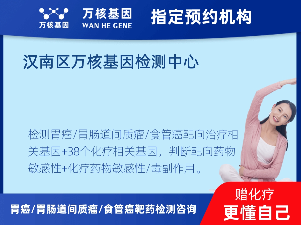 胃癌/胃腸道間質(zhì)瘤/食管癌靶藥51基因+PD-L1+MSI檢測(cè)