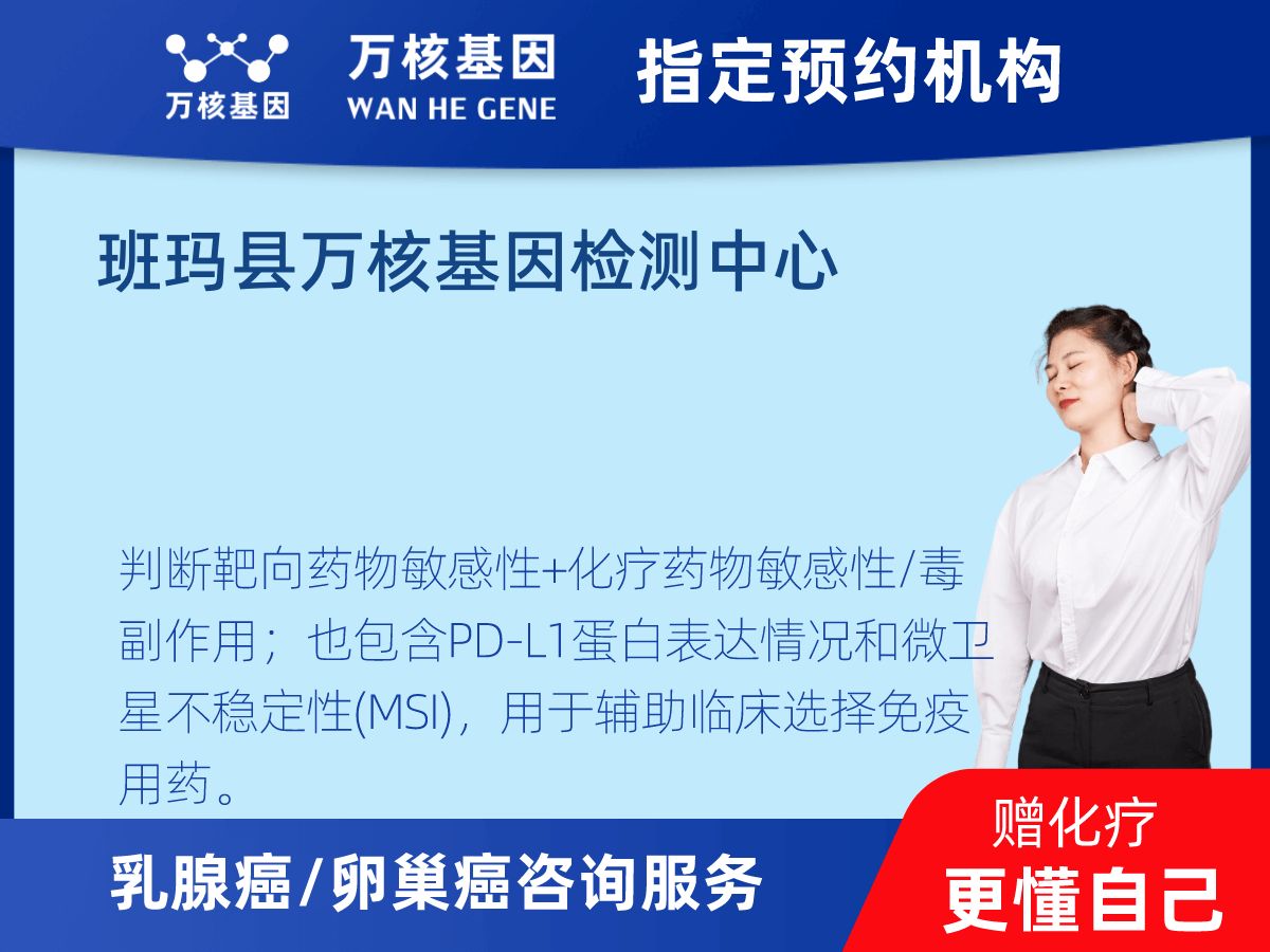 乳腺癌/卵巢癌靶70基因檢測(cè)